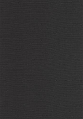 Papier  Peint Uni Caselio