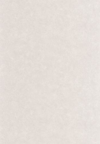 Papier  Peint Uni Mat Caselio