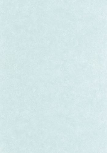 Papier  Peint Uni Mat Caselio