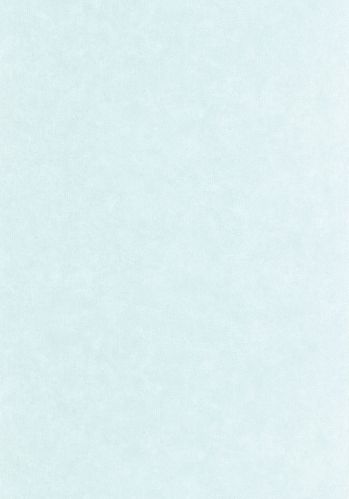 Papier  Peint Uni Mat Caselio