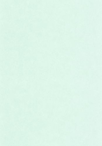 Papier  Peint Uni Mat Caselio