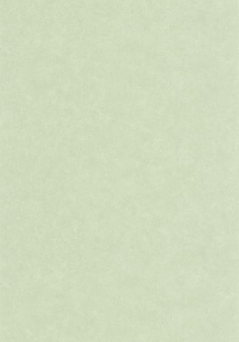 Papier  Peint Uni Mat Caselio