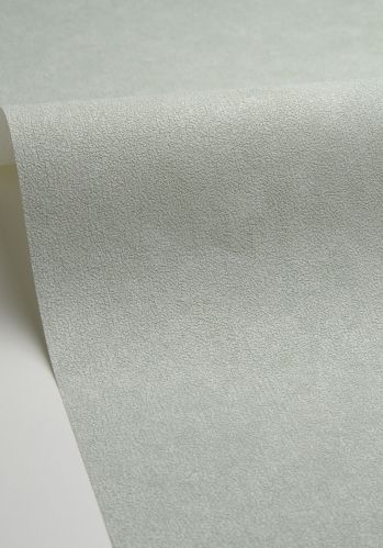 Papier  Peint Uni Mat Caselio