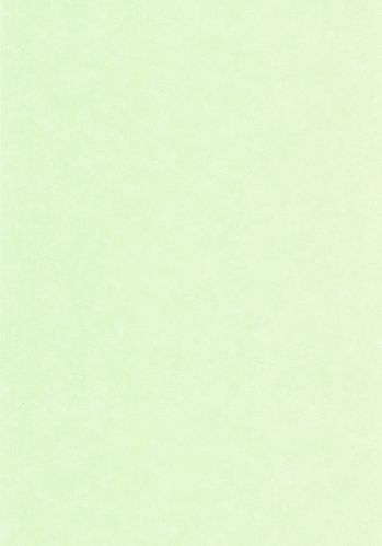 Papier  Peint Uni Mat Caselio