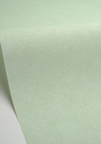 Papier  Peint Uni Mat Caselio