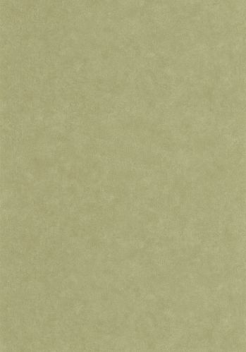 Papier  Peint Uni Mat Caselio