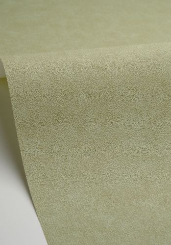 Papier  Peint Uni Mat Caselio