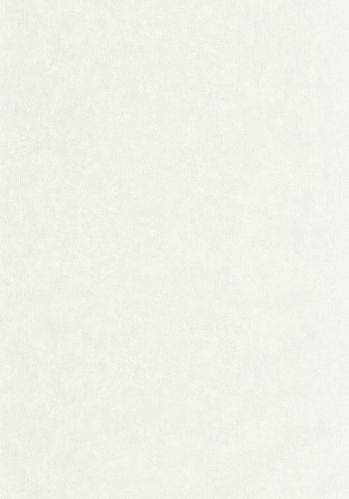 Papier  Peint Uni Mat Caselio