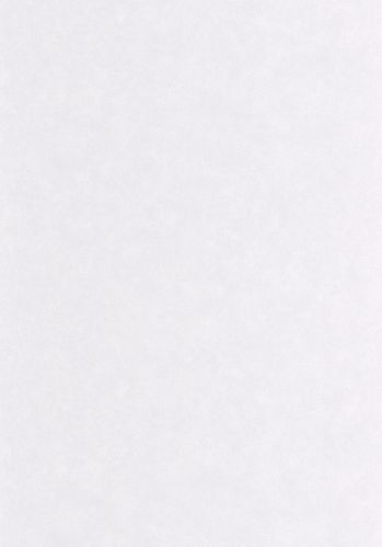 Papier  Peint Uni Mat Caselio