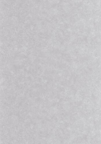 Papier  Peint Uni Mat Caselio