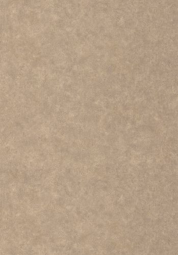Papier  Peint Uni Metallise/ Irise Caselio