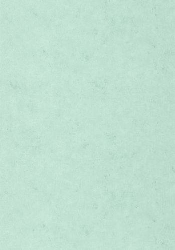 Papier  Peint Uni Metallise/ Irise Caselio