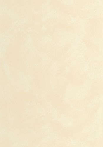 Papier  Peint Uni Caselio