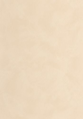 Papier  Peint Uni Caselio