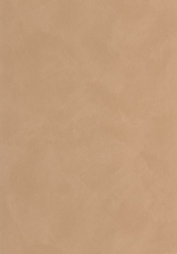 Papier  Peint Uni Caselio