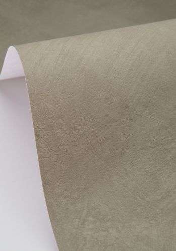 Papier  Peint Uni Caselio