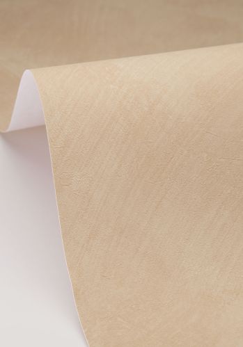 Papier  Peint Uni Caselio