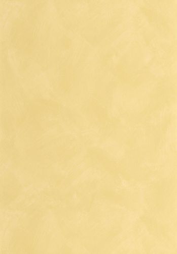 Papier  Peint Uni Caselio