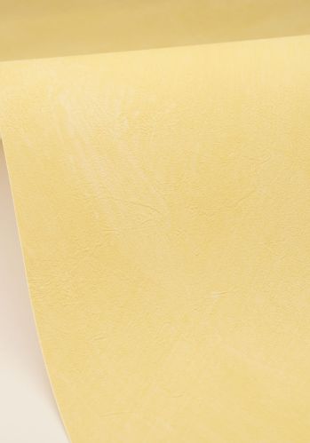 Papier  Peint Uni Caselio