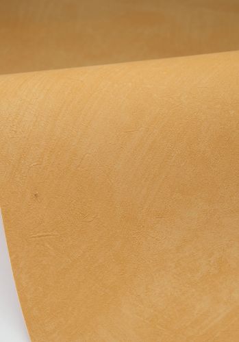 Papier  Peint Uni Caselio