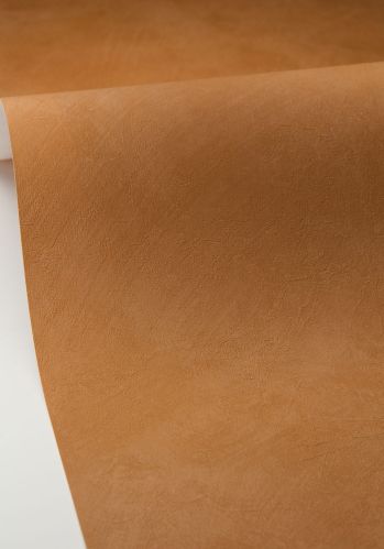 Papier  Peint Uni Caselio