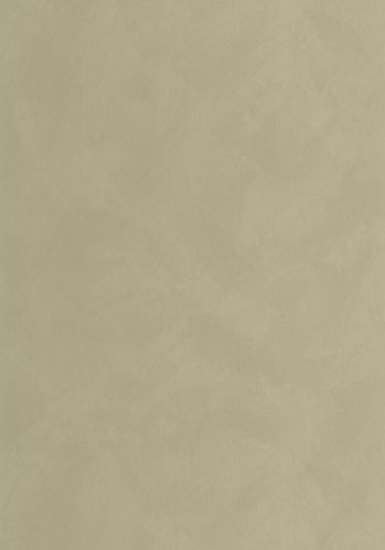 Papier  Peint Uni Caselio