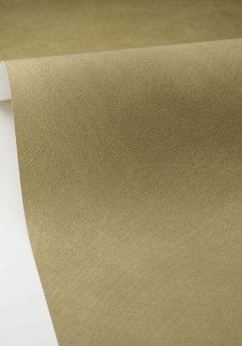 Papier  Peint Uni Caselio