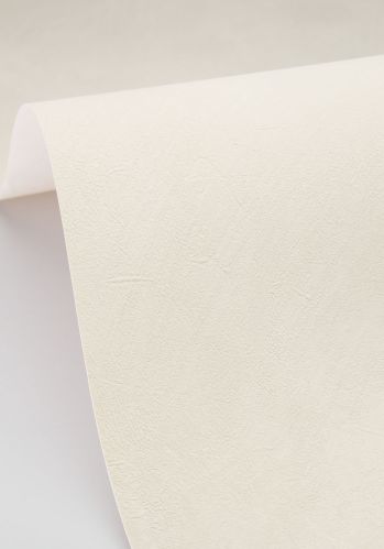 Papier  Peint Uni Caselio