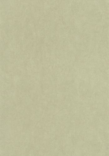 Papier  Peint Cotton Touch Casadeco