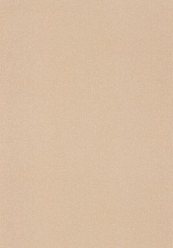 Papier  Peint Chevron Uni Metallise Caselio
