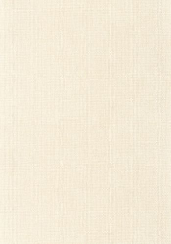 Papier  Peint Uni Mat Caselio