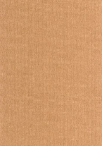 Papier  Peint Uni Mat Caselio