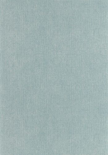 Papier  Peint Uni Mat Caselio