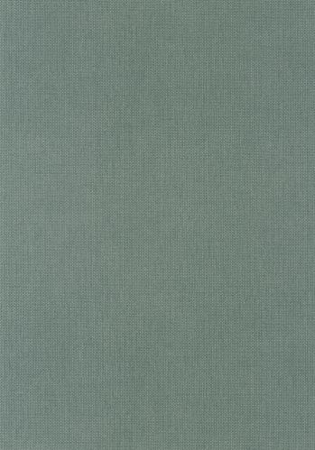 Papier  Peint Uni Mat Caselio