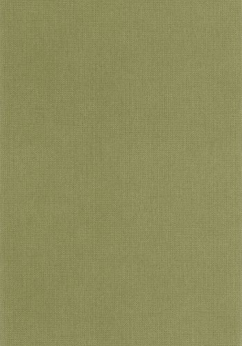 Papier  Peint Uni Mat Caselio