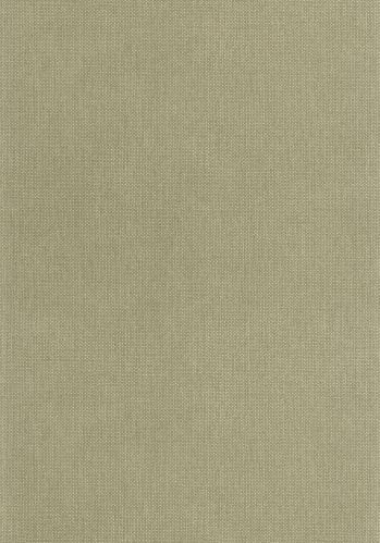 Papier  Peint Uni Mat Caselio