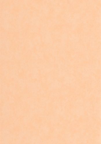 Papier  Peint Vallauris Casadeco