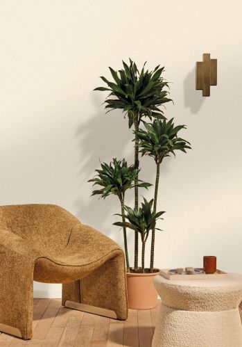 Papier  Peint Uni Mat Caselio