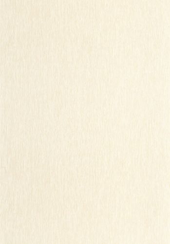 Papier  Peint Uni Mat Caselio