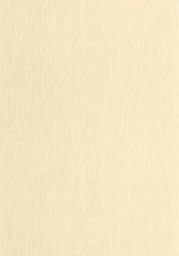 Echantillon Papier Peint Uni Mat Caselio