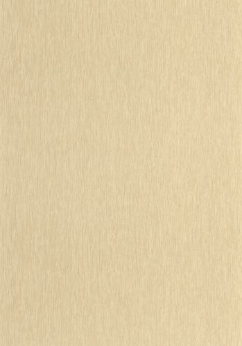 Echantillon Papier Peint Uni Mat Caselio