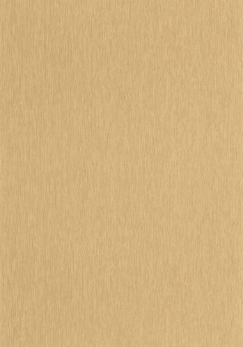 Echantillon Papier Peint Uni Mat Caselio
