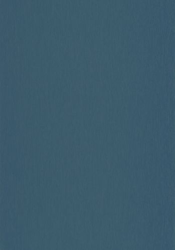 Papier  Peint Uni Mat Caselio