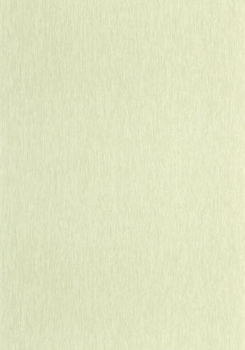 Papier  Peint Uni Mat Caselio