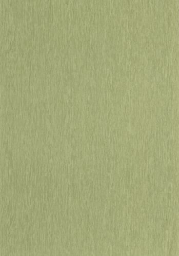 Papier  Peint Uni Mat Caselio