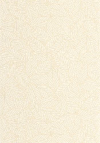 Echantillon Papier Peint Delora Caselio