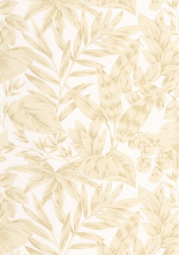 Echantillon Papier Peint Kalea Caselio