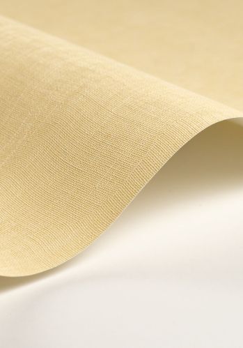 Echantillon Papier Peint Etamine Casadeco