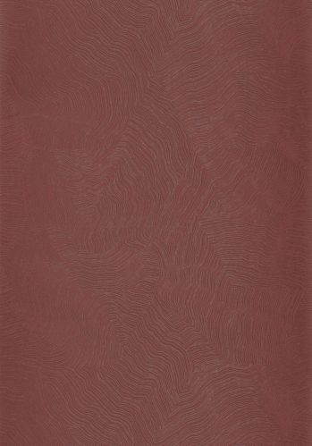 Papier  Peint Infusion Casadeco