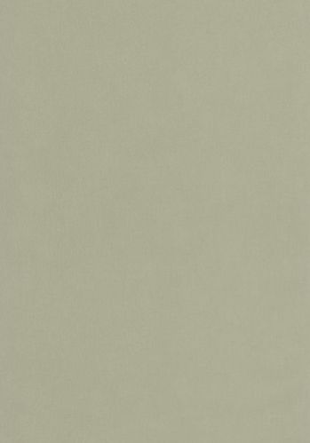 Papier  Peint Uni Caselio